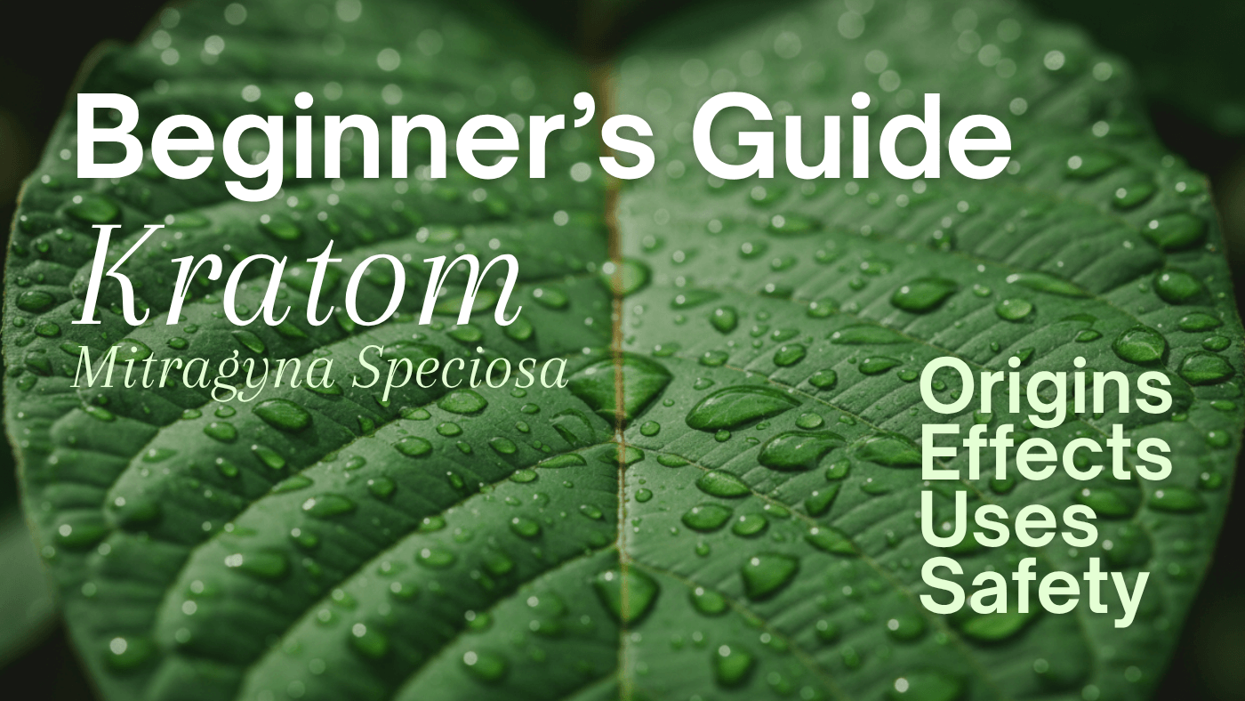 Beginner’s Guide to Kratom: Origins, Effects, Uses & Safety