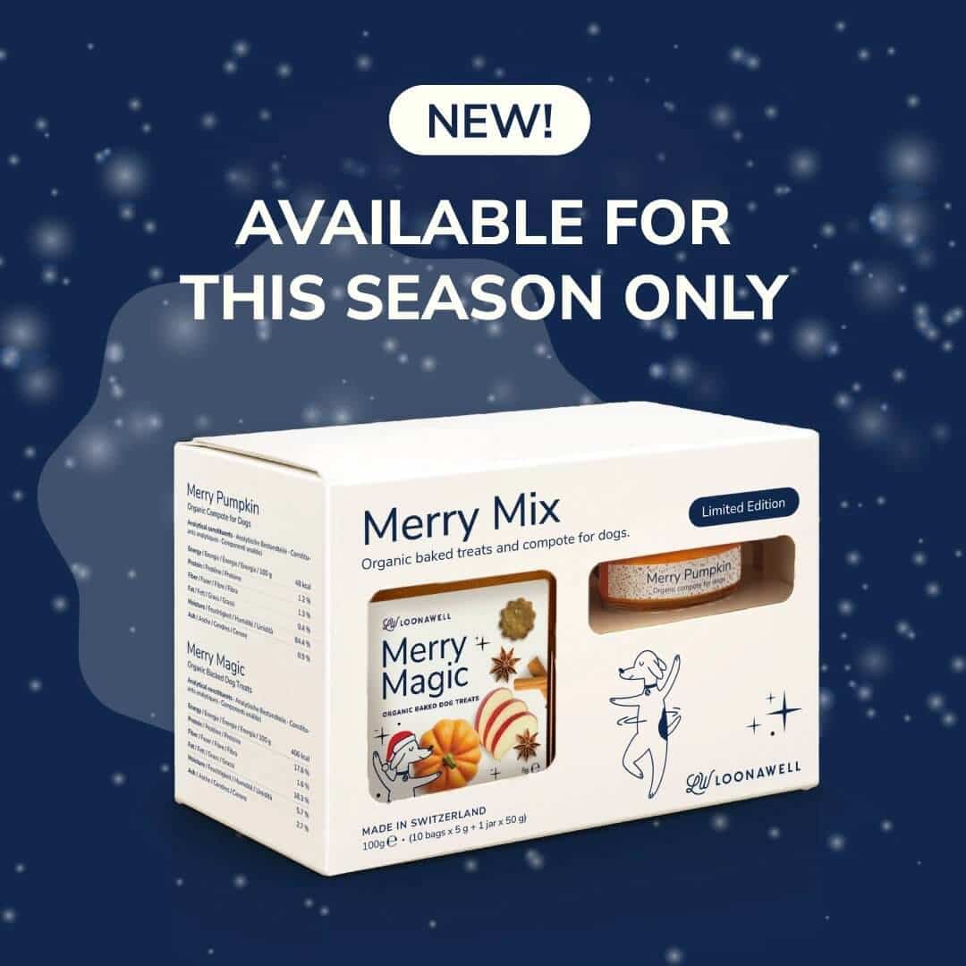 Merry Mix: A Holiday Ritual to Share with Your Dog