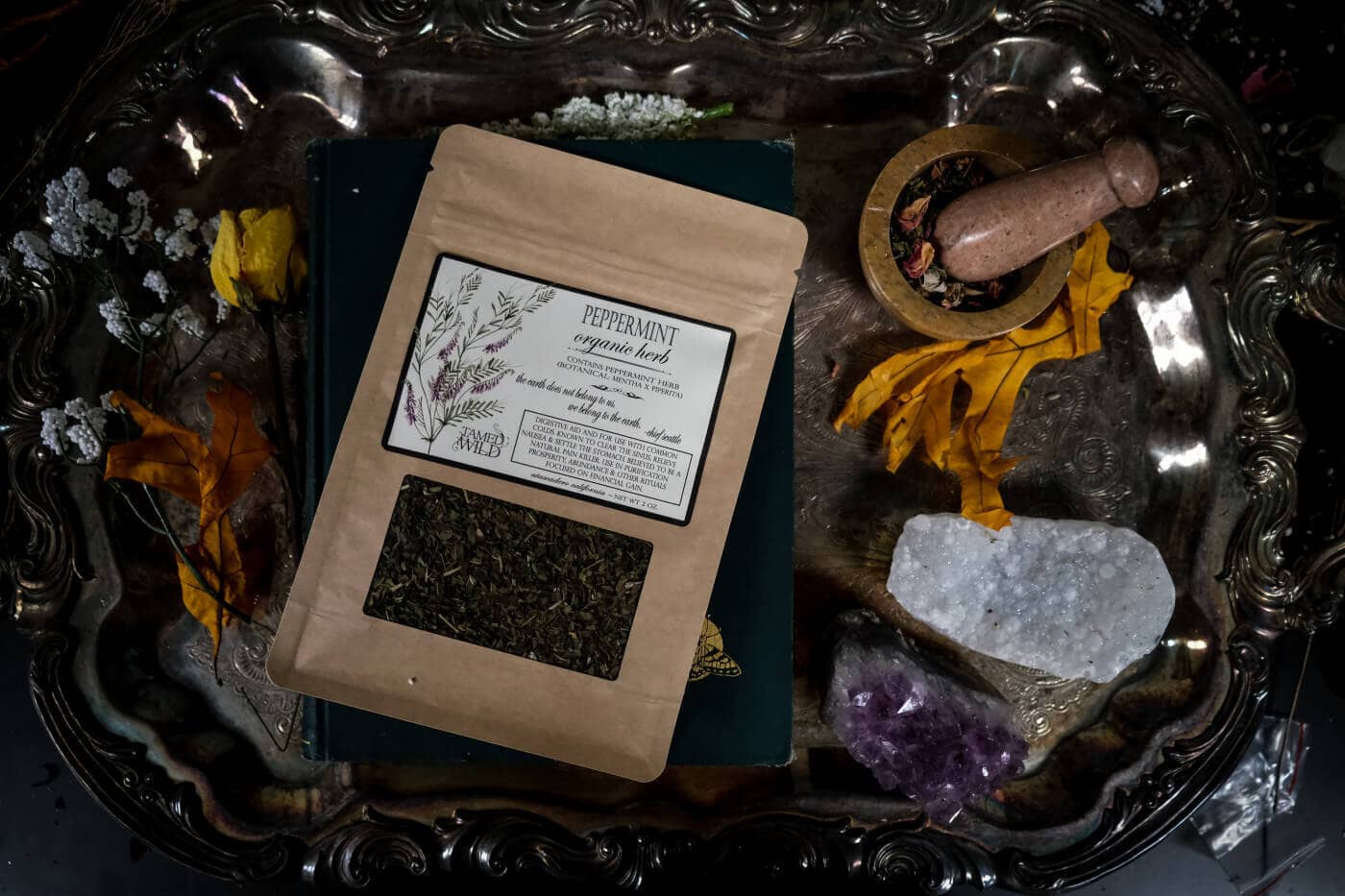 WILD MEDICINE SERIES: PEPPERMINT