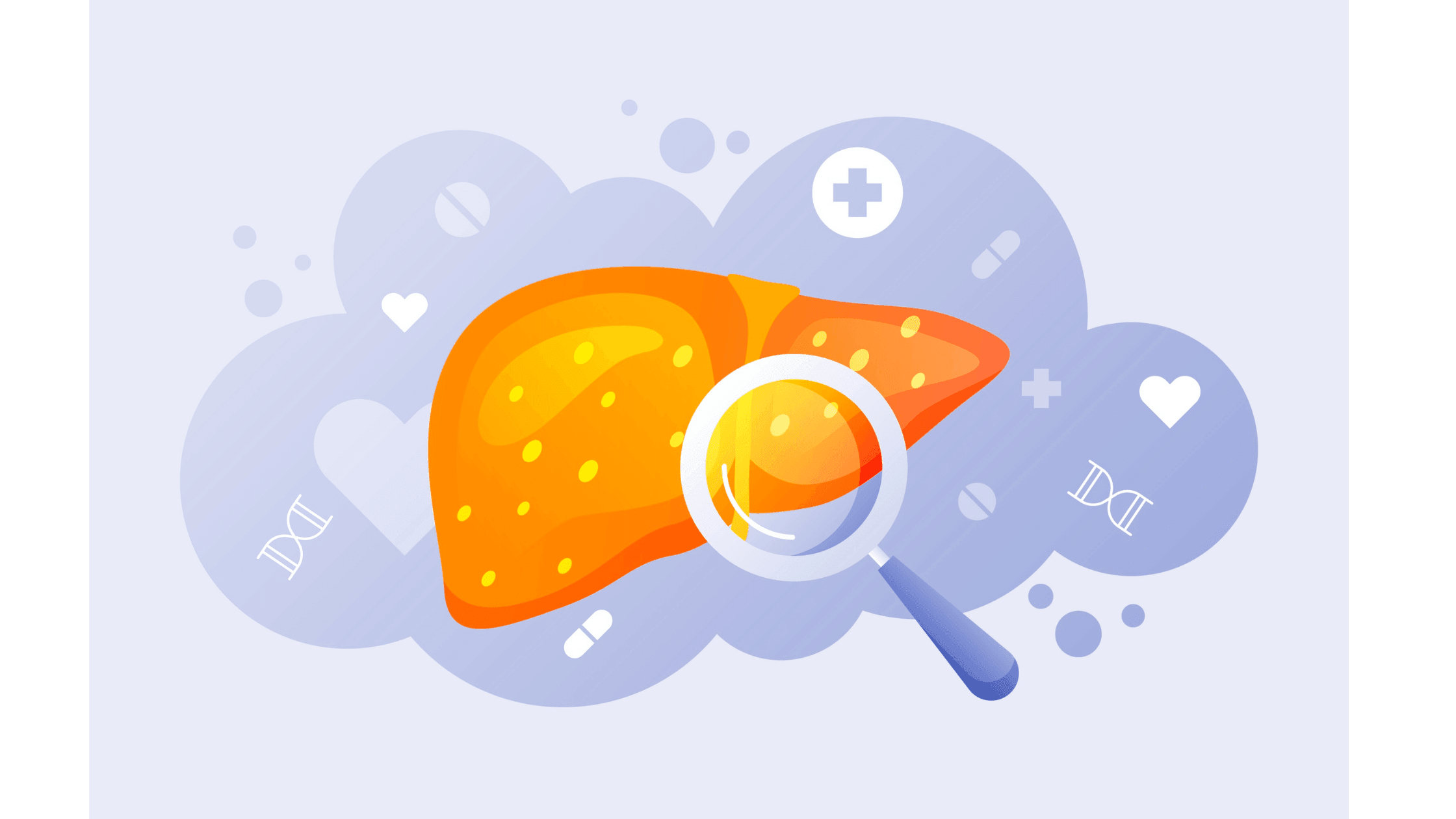 Liver Health: How Your Body Naturally Restores Balance