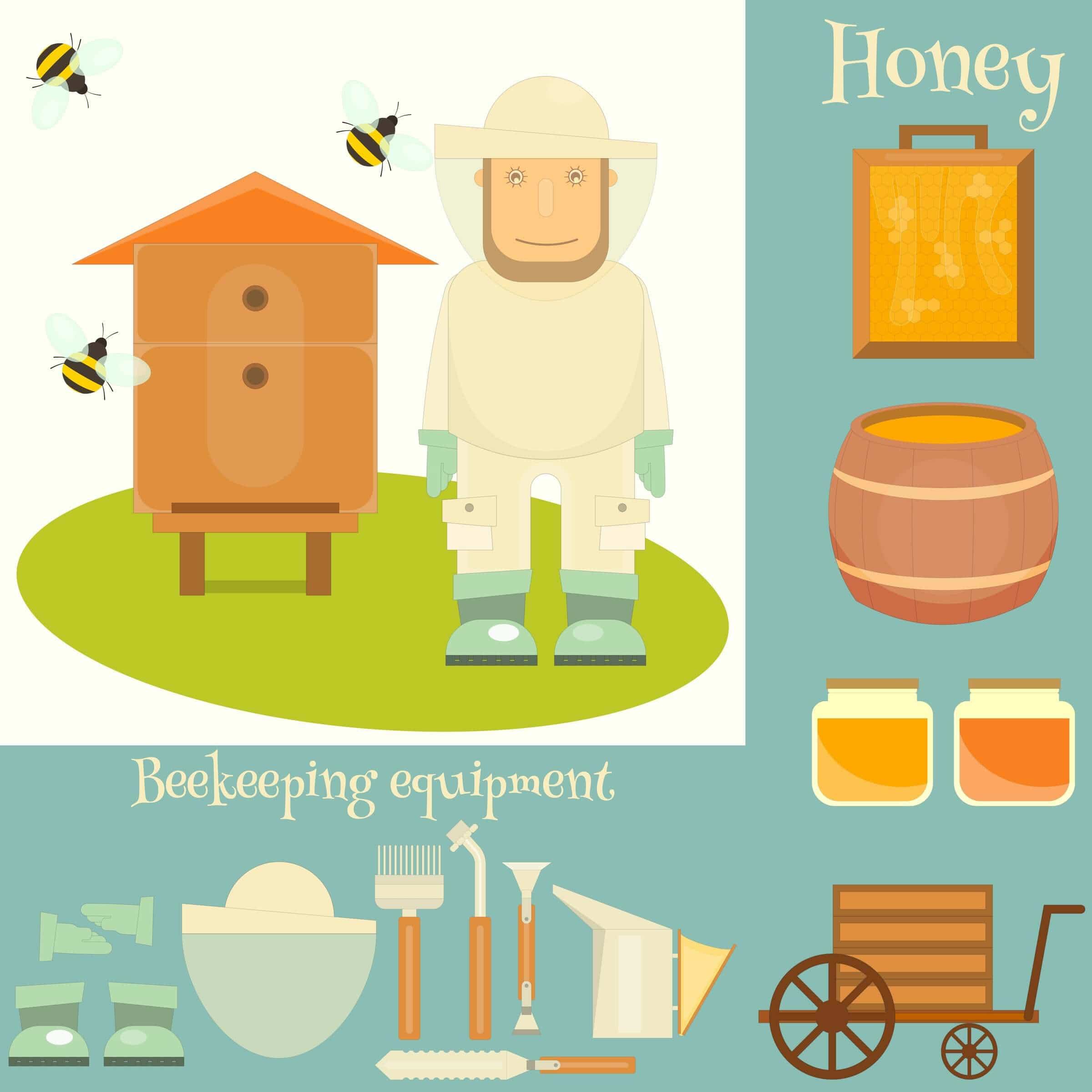 Essential beekeeping equipment and hardware for beginner beekeepers