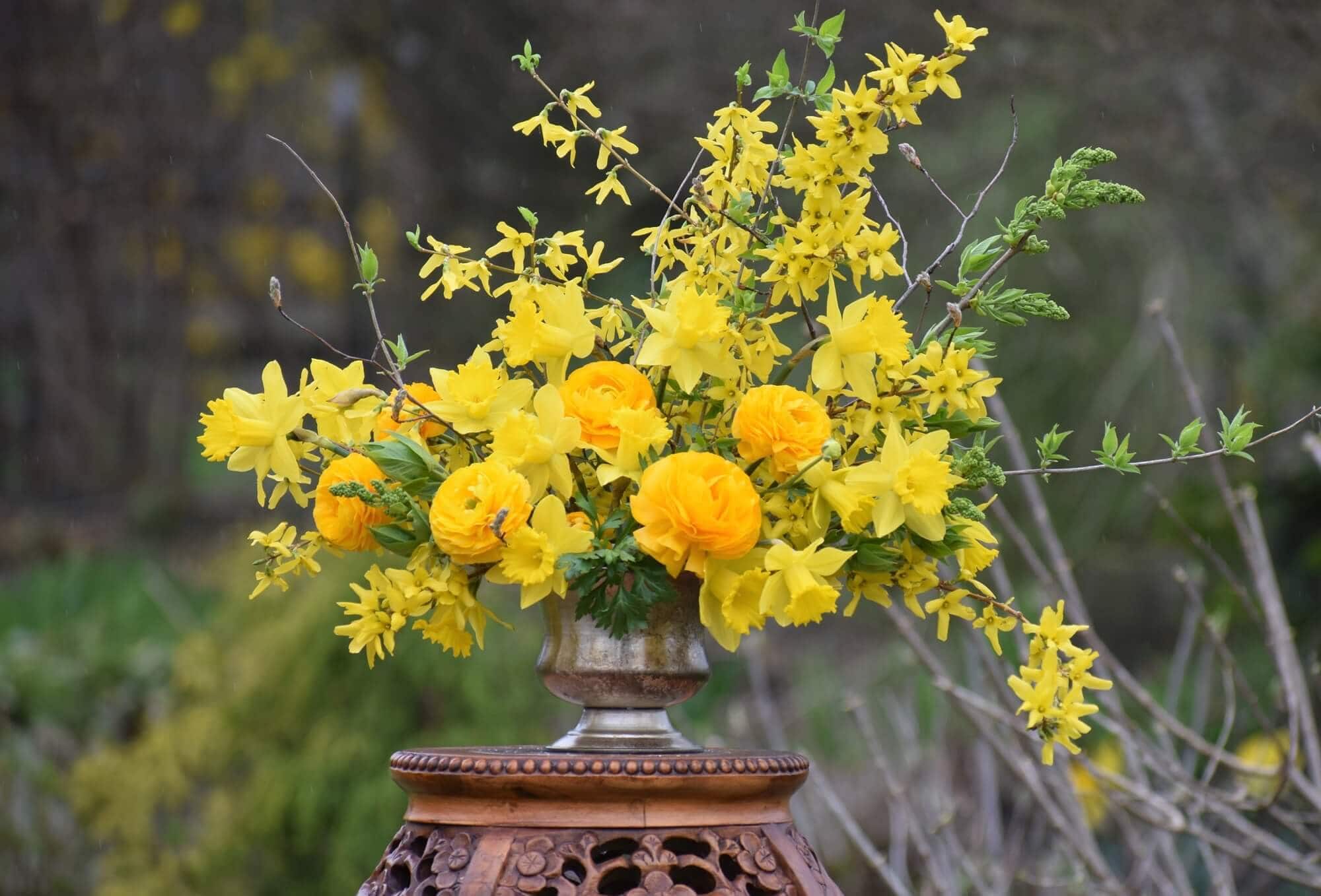 How to Get the Longest Vase Life from Fresh Cut Flowers - Longfield Gardens