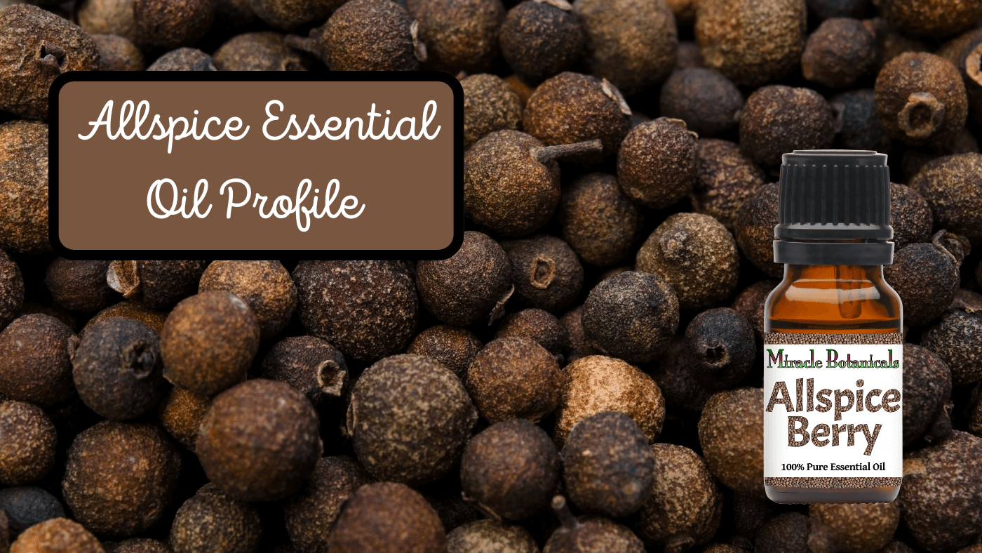 Allspice: The Unsung Essential Oil of Autumn