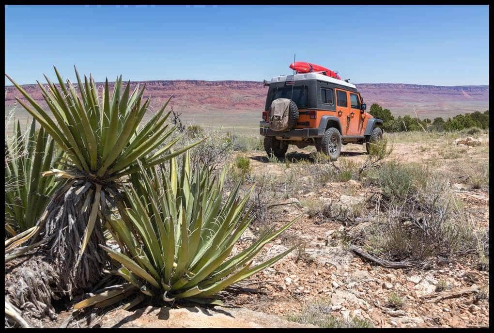 Along For The Ride: Journey to the North Rim (Part 22)