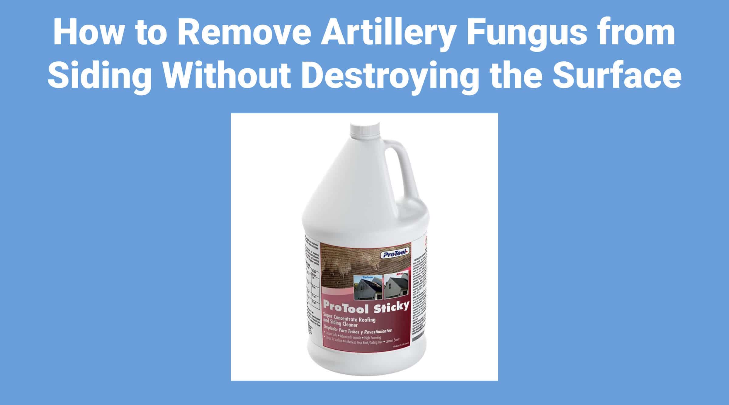How to Remove Artillery Fungus from Siding: Professional Protocol