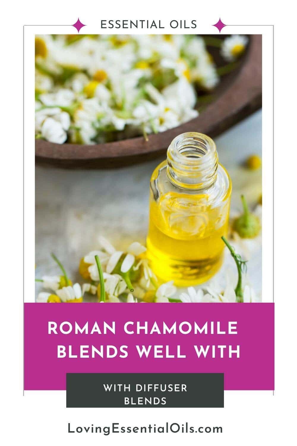Roman Chamomile Diffuser Blends by Loving Essential Oils