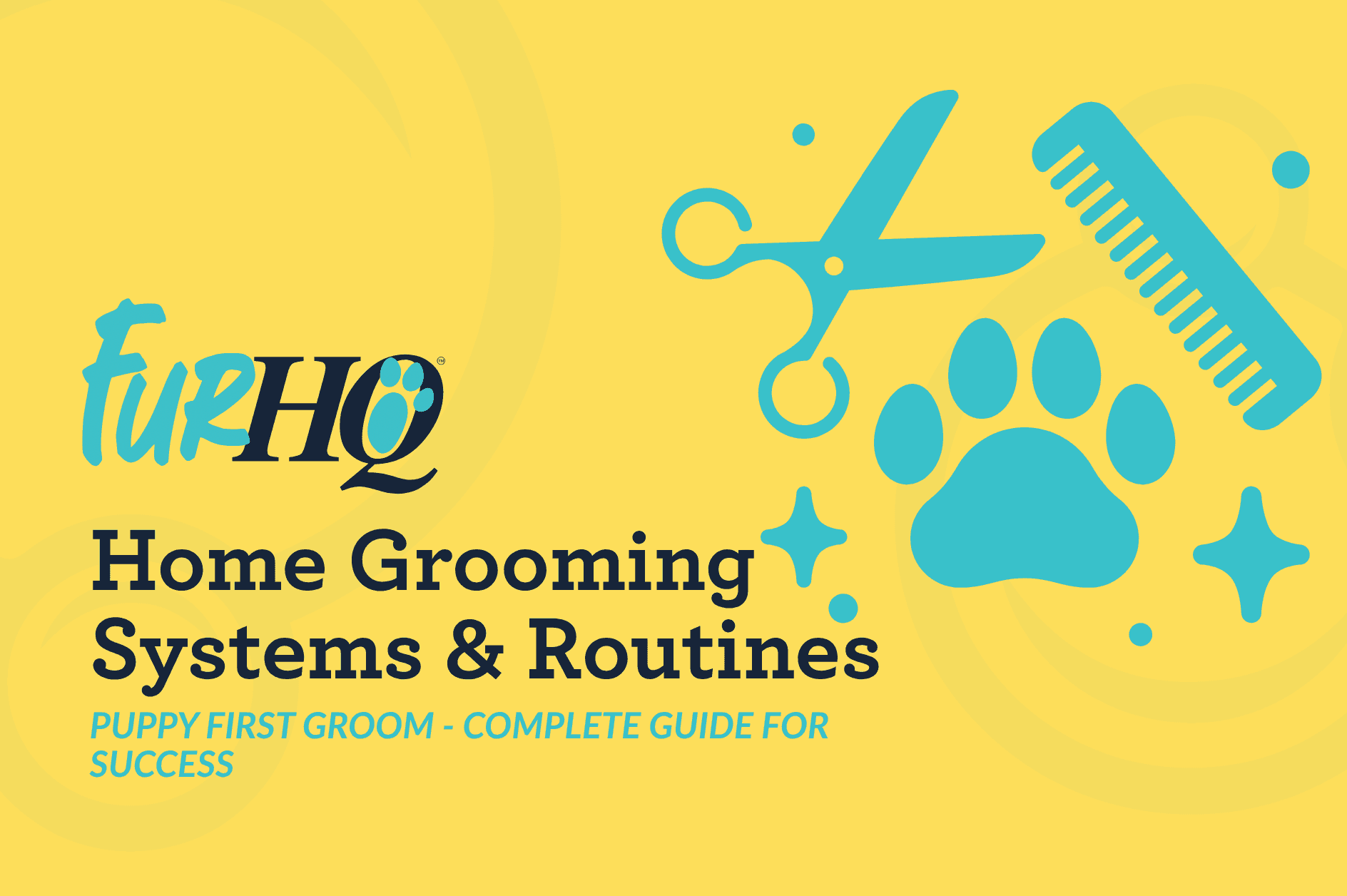 Puppy First Groom - Complete Guide for Success