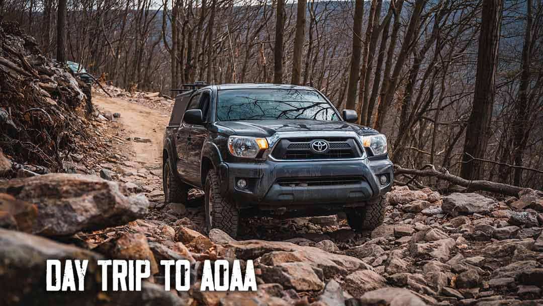 Day Trip to AOAA
