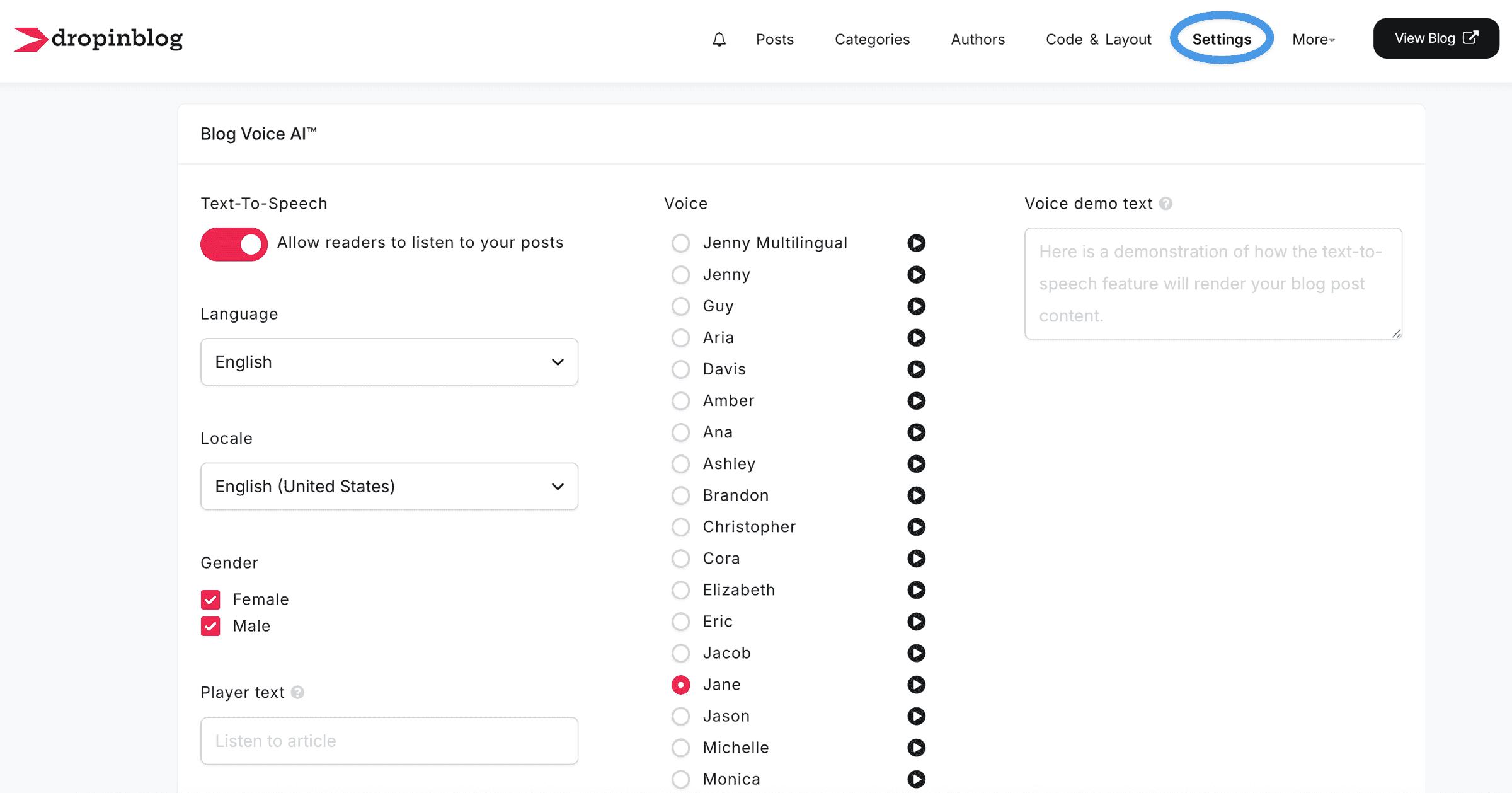Blog Voice AI™ settings