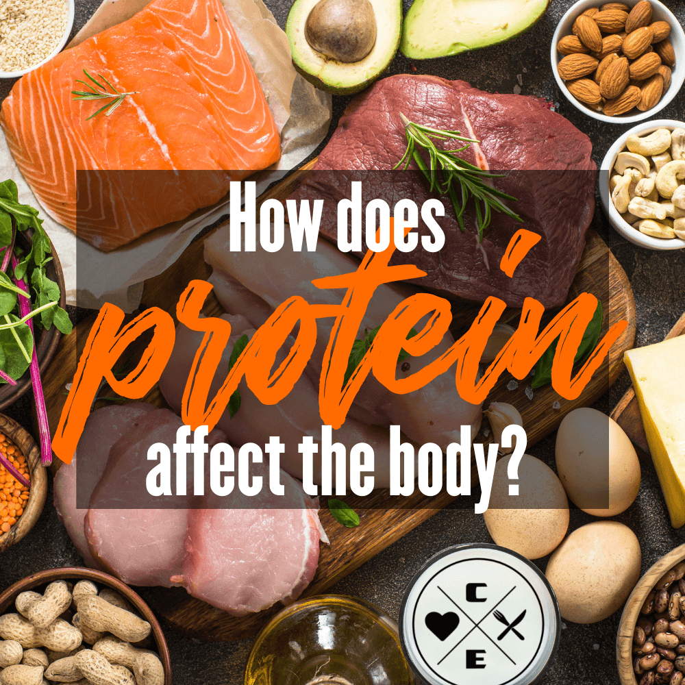 How Does Protein Affect the Body? Science-Based Guide
