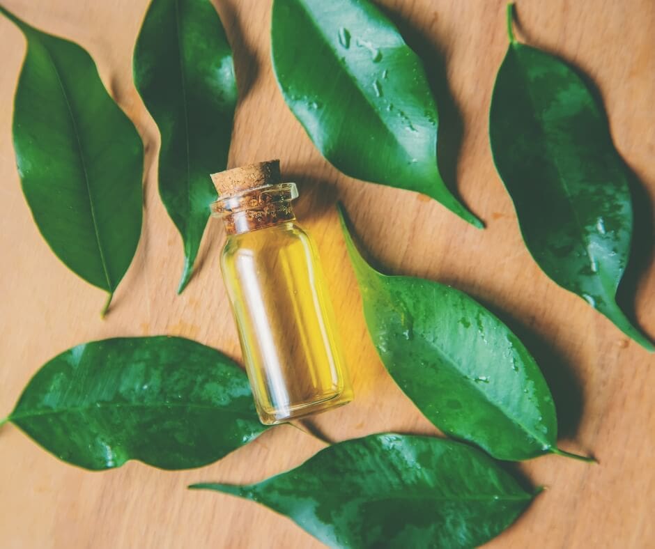Essential oils to diffuse with tea tree by Loving Essential Oils