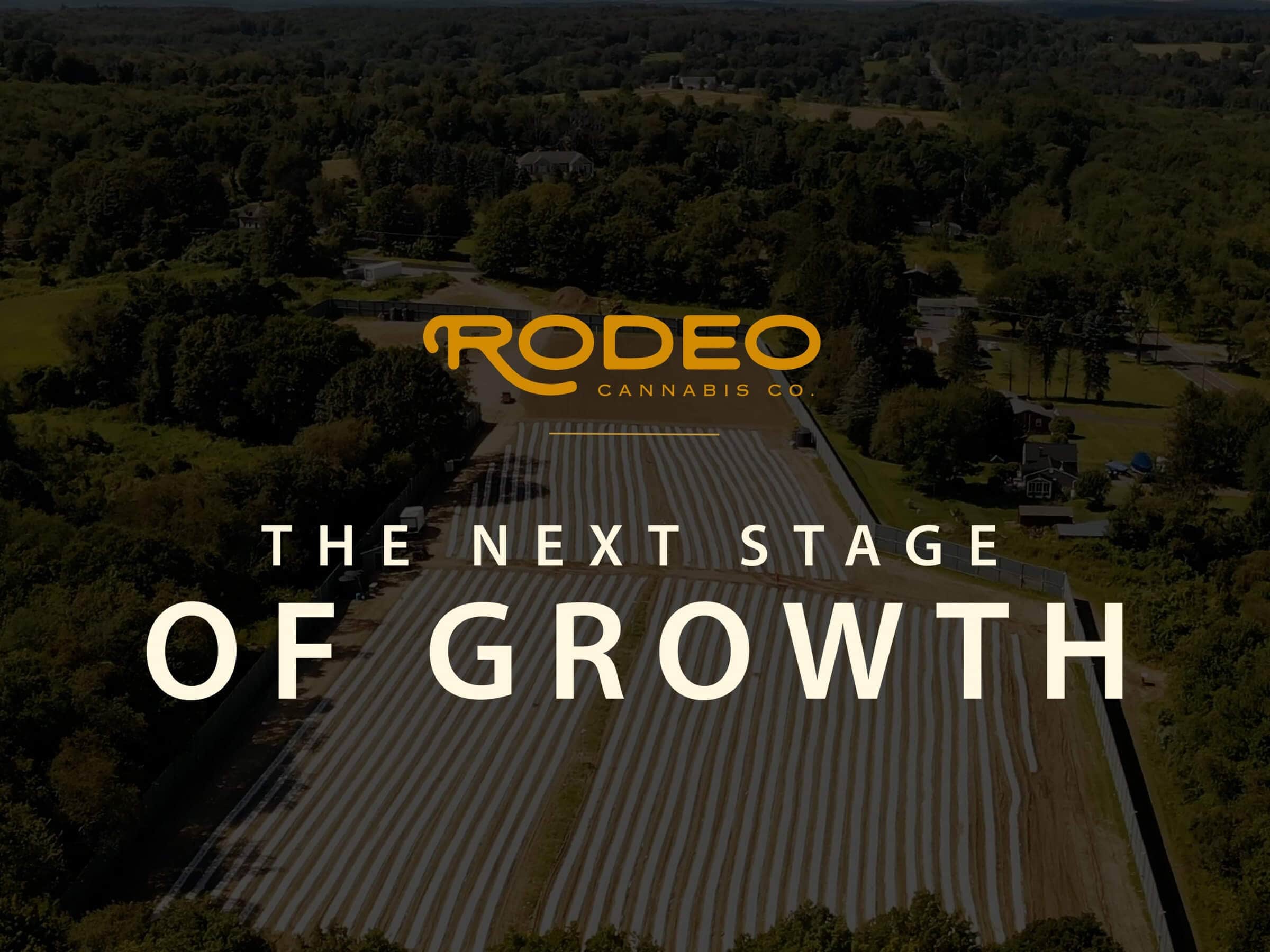 Rodeo Cannabis Co. Raises the Bar in Connecticut