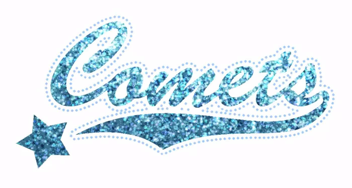 Digitizing for bling with Wilcom’s EmbroideryStudio