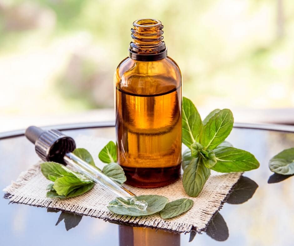 Peppermint essential oil benefits by Loving Essential Oils