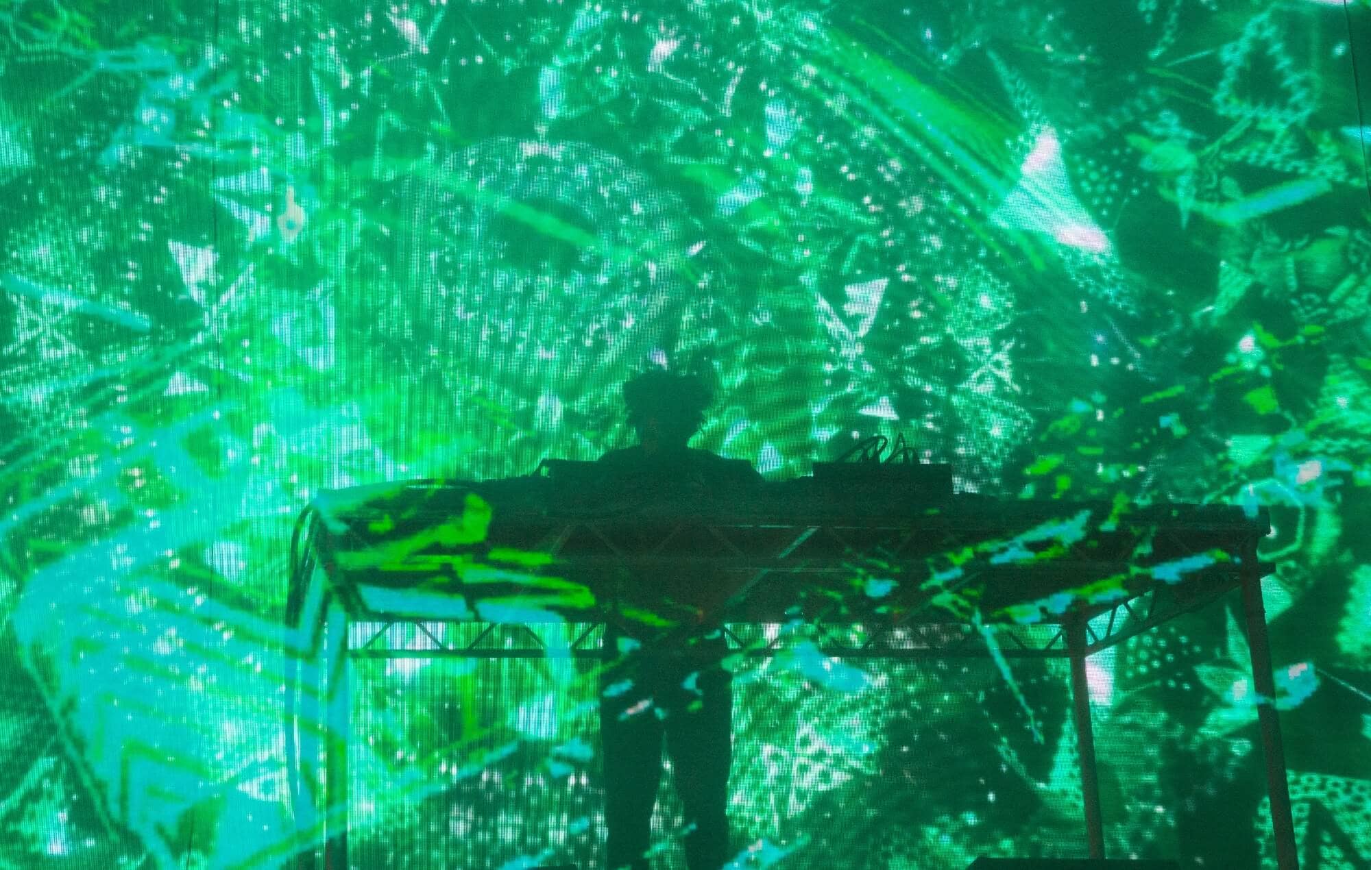 Flying Lotus performs at Field Day