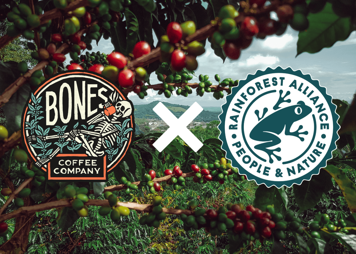 Single Origin: Colombia