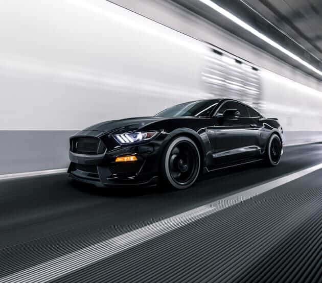 Unbridled Passion: Unveiling the Best Shelby of 2024