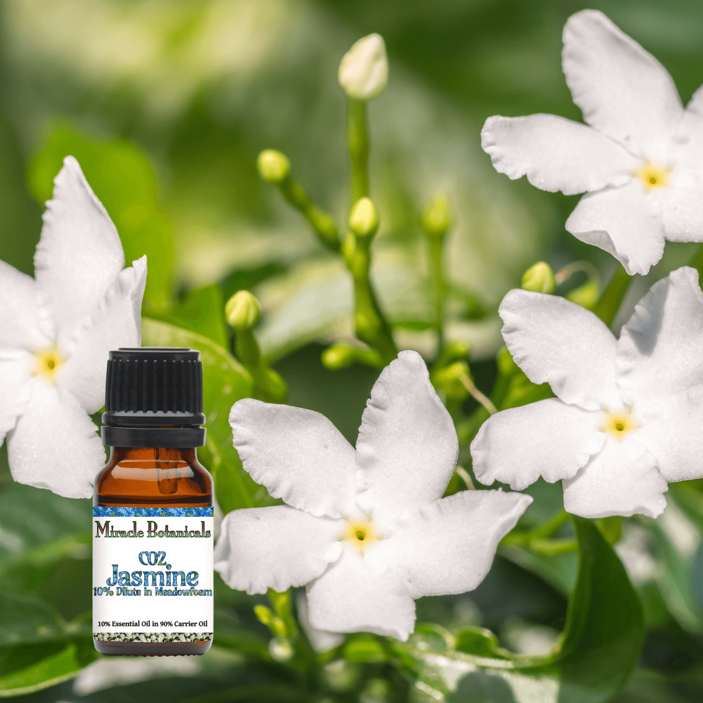 aphrodisiac essential oils by Miracle Botanicals, amber bottle of CO2 Jasmine essential oil