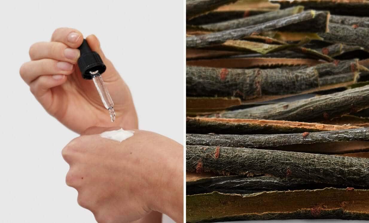 Hand holding dropper bottle dispensing clear serum next to stacked white willow bark strips showing natural salicylic acid source