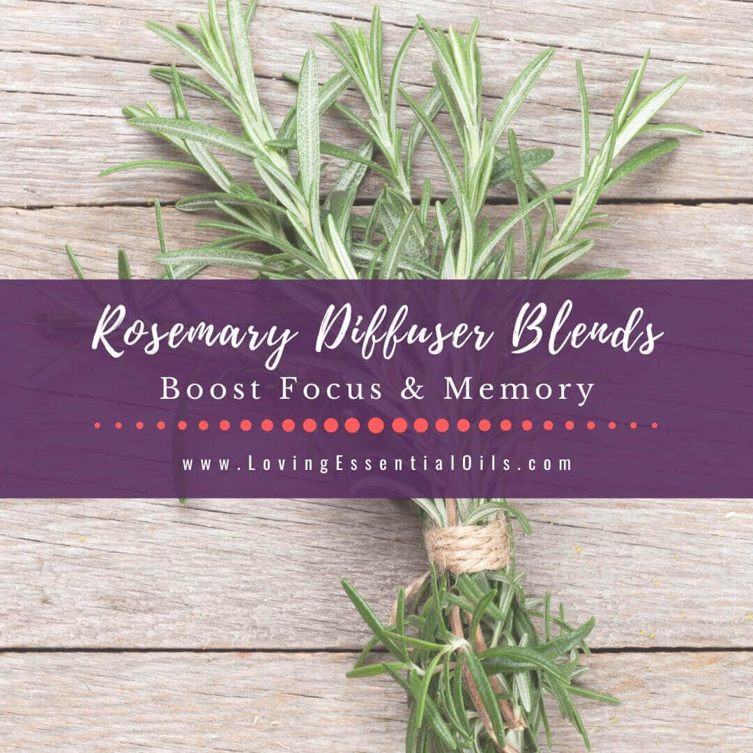 Rosemary diffuser blends with fresh rosemary and essential oil bottles
