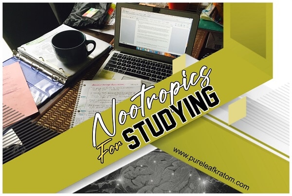 The Best Nootropics For Studying That Keep You Productive