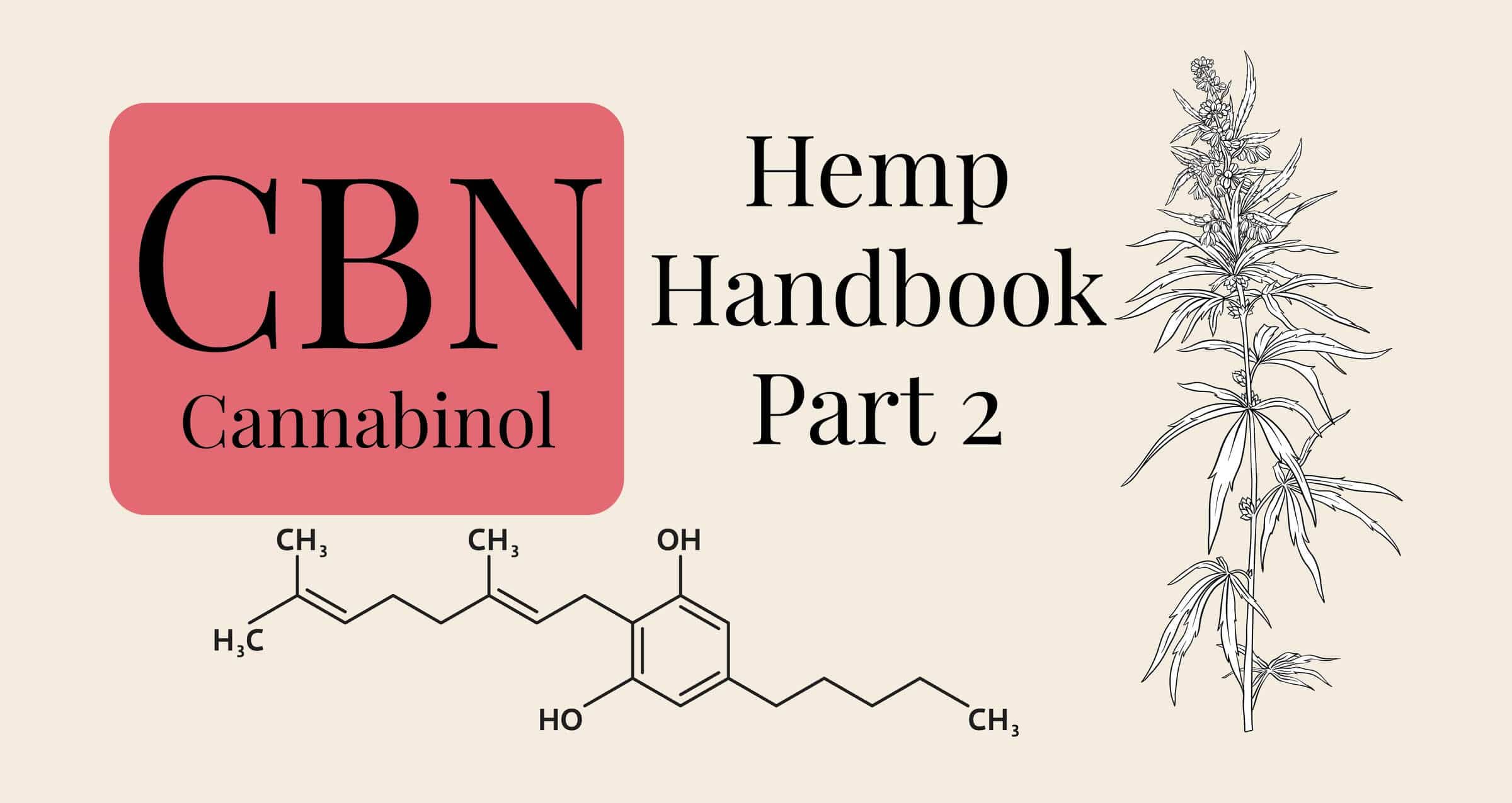 What is CBN, cannabinol and hemp botanical illustration