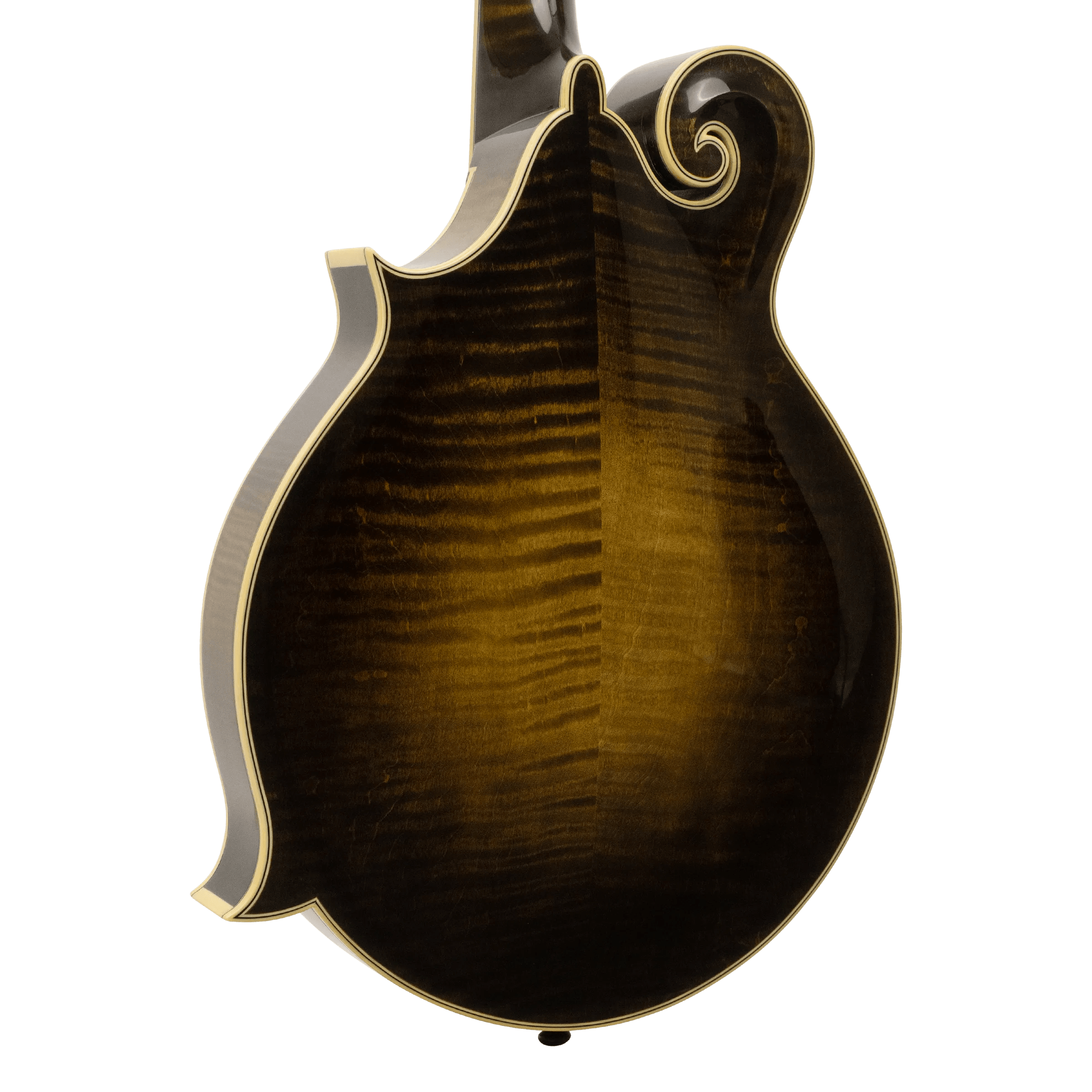 Flamed 5A maple back of the Gold Tone Super Cremona mandolin with triple ivoroid binding
