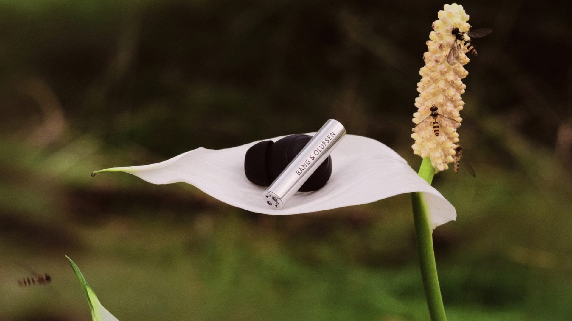 Bang & Olufsen Launches Premium TWS Earbuds Boasting Exceptional Sound Quality