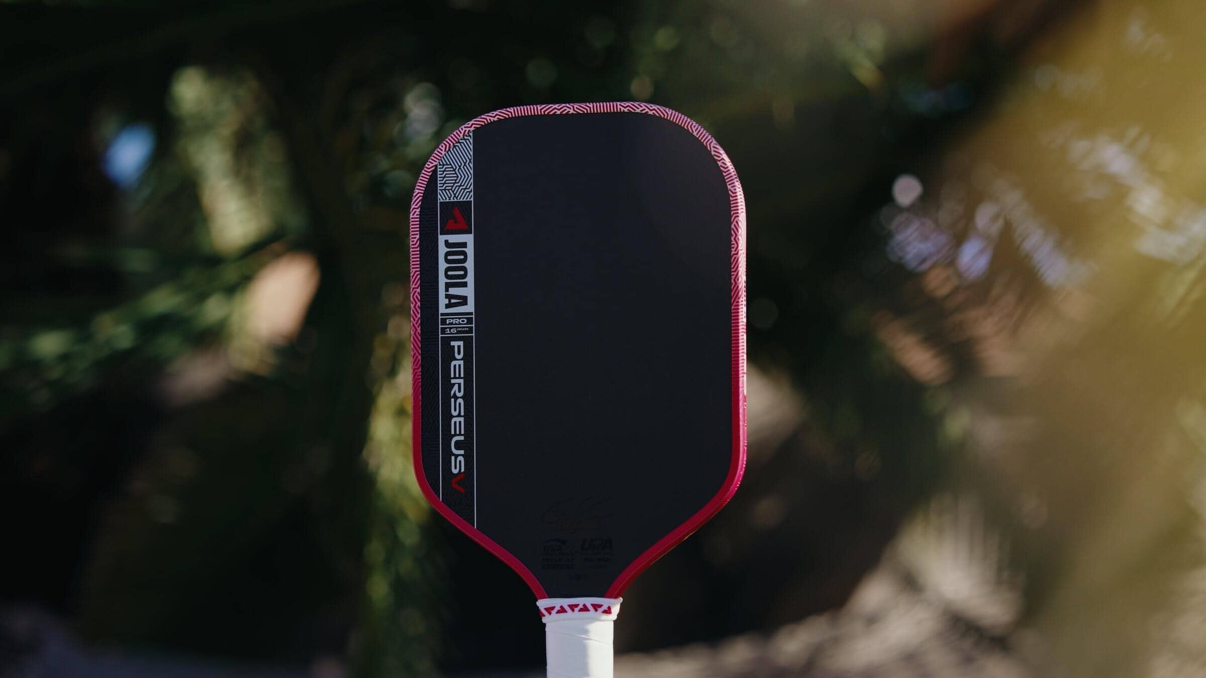 JOOLA Pro IV vs Pro V verdict graphic