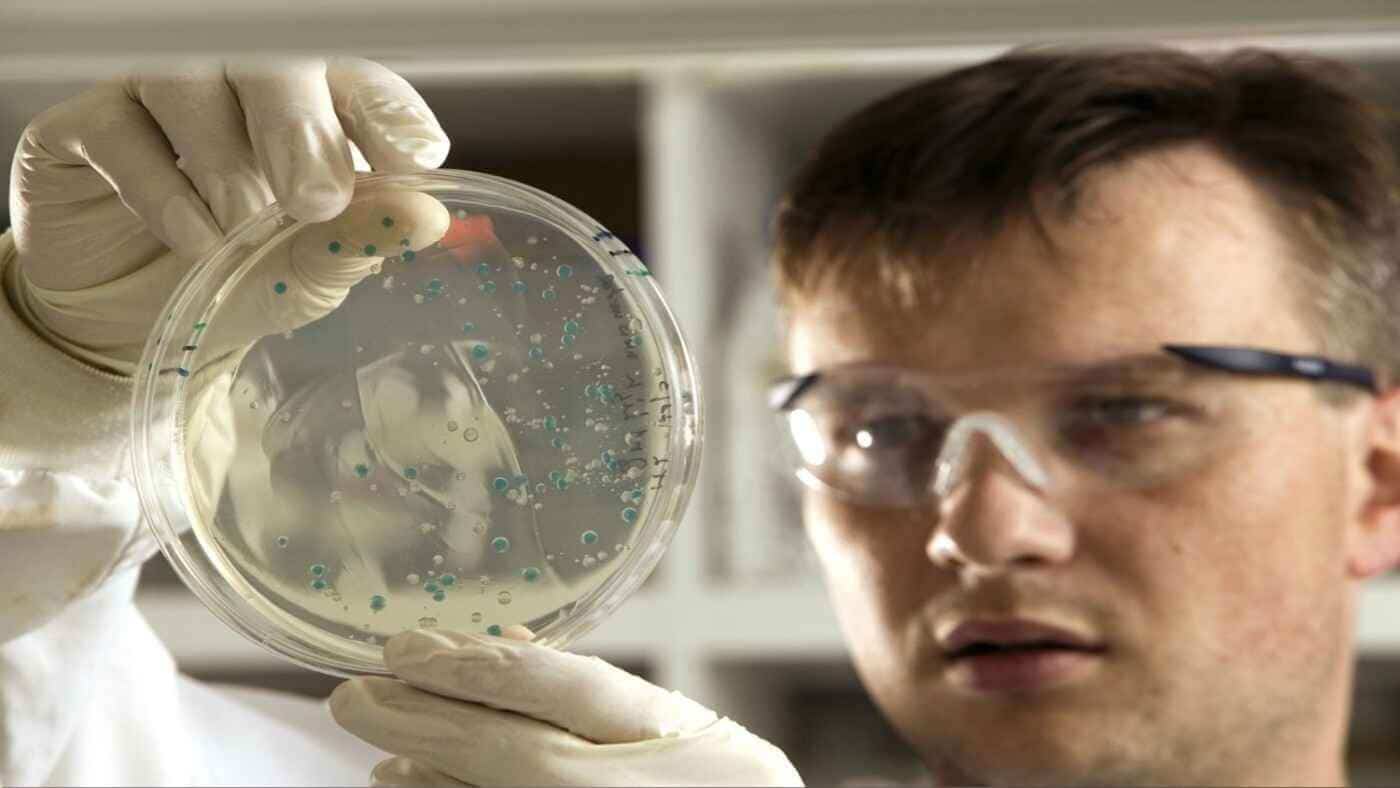 Scientists looking to bioremediation as a way to reverse pollution and regenerate water