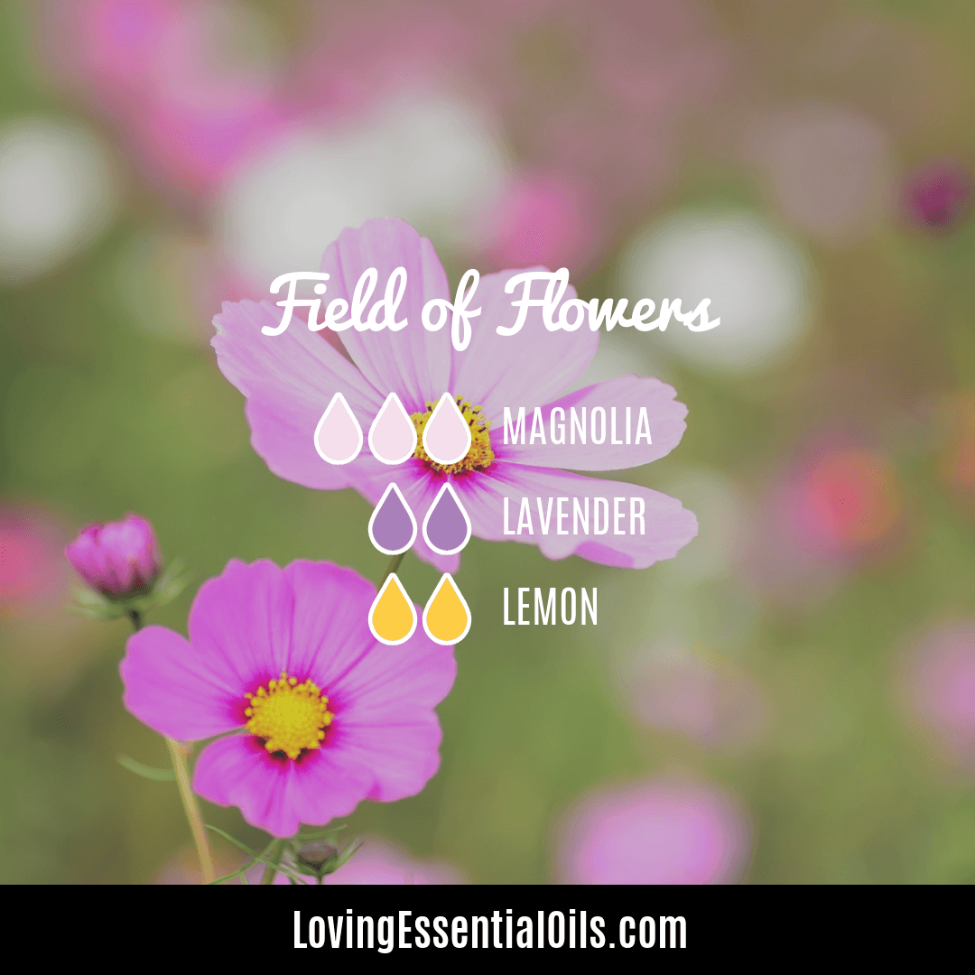 Field of Flowers lemon and lavender diffuser blend with magnolia