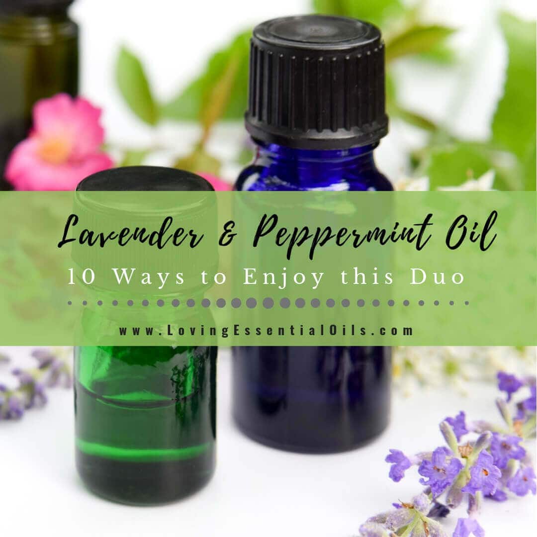 Lavender and Peppermint Oil - 10 Ways to Enjoy this Powerful Duo