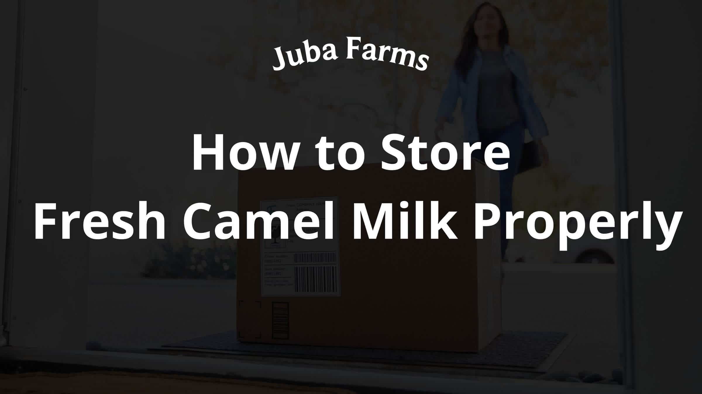 How to Store Fresh Camel Milk Properly
