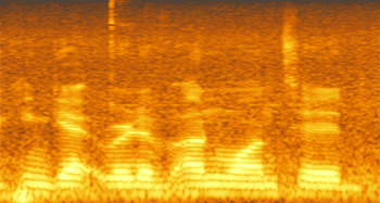 izotope-rx4-62.png