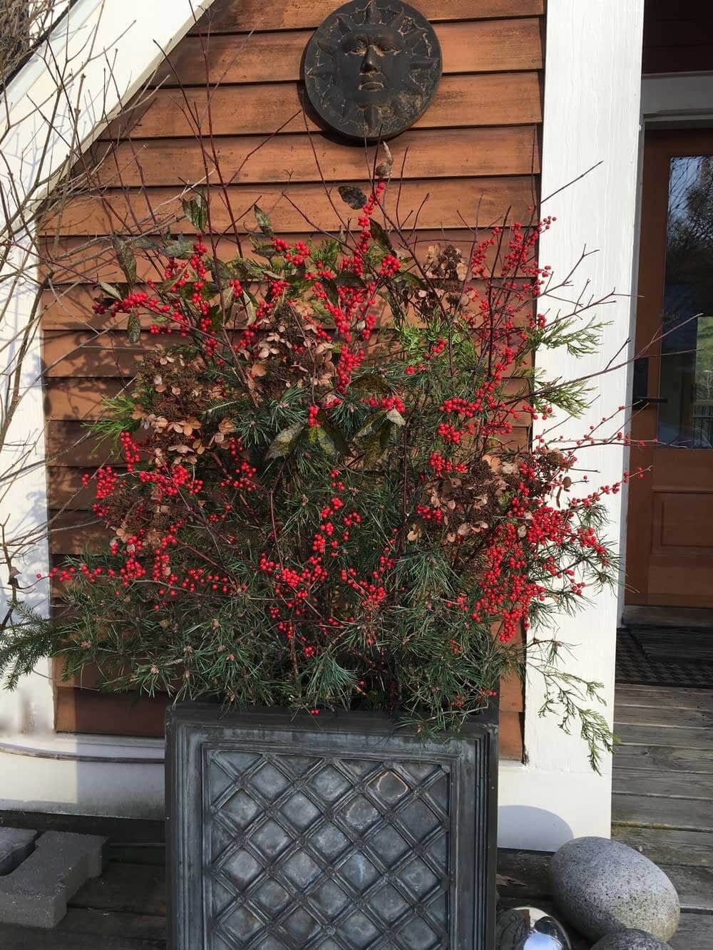 Making a Holiday Container to Decorate Your Entryway - Longfield Gardens