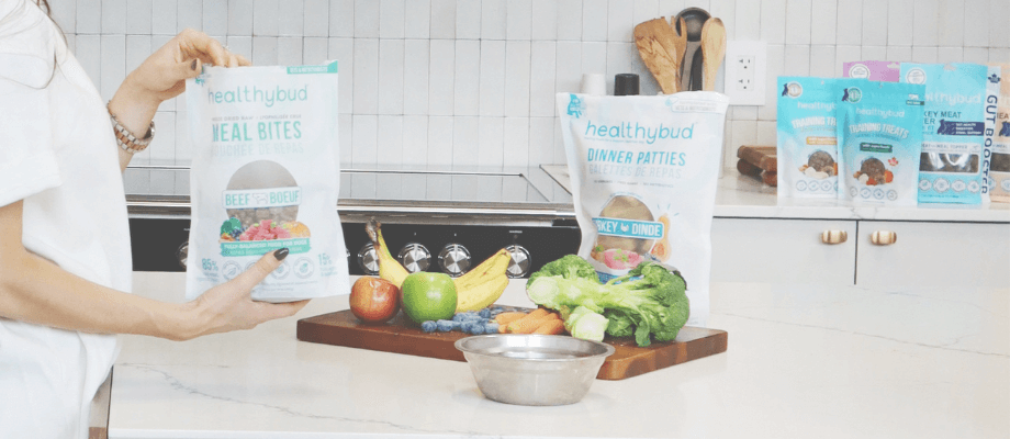 Fall Superfoods for Dogs: What to Add to Their Bowl This Season