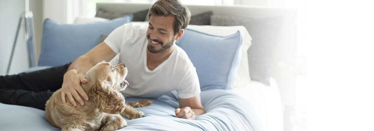 The Ultimate Bedding Guide for Pet Owners