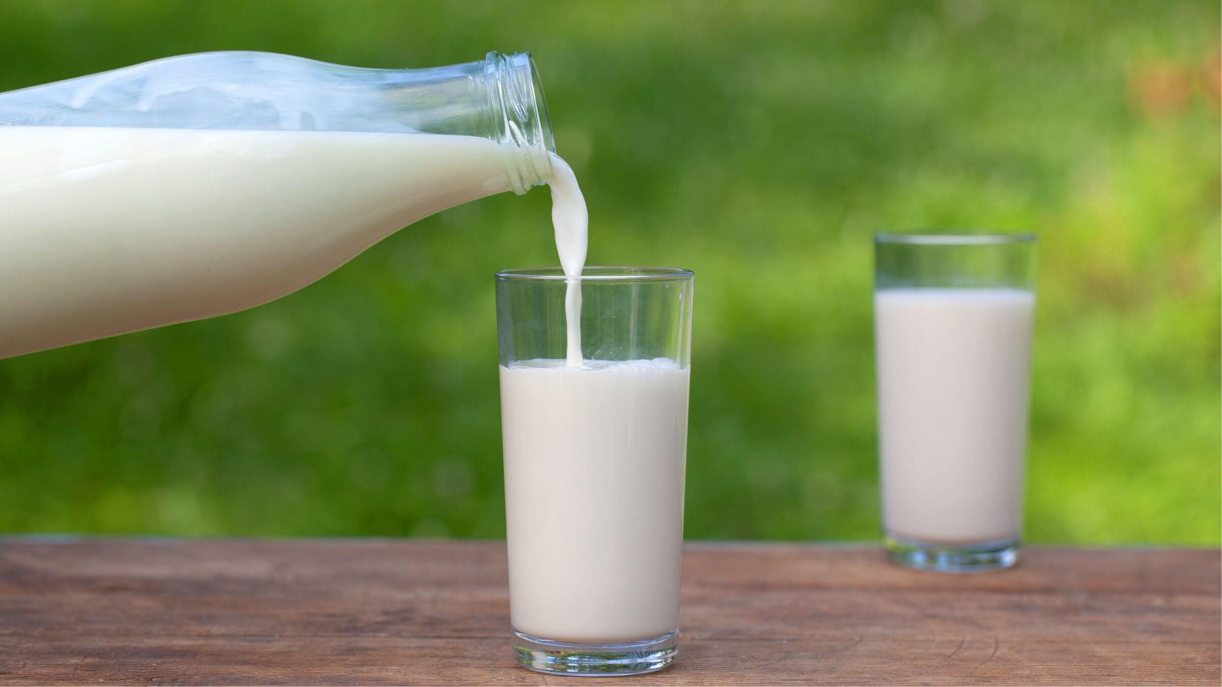 Start drinking camel milk