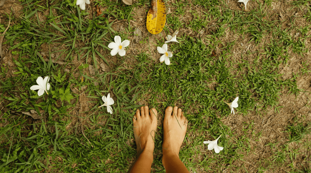 Grounding and Gut Health: Why Nature is the Best Therapy