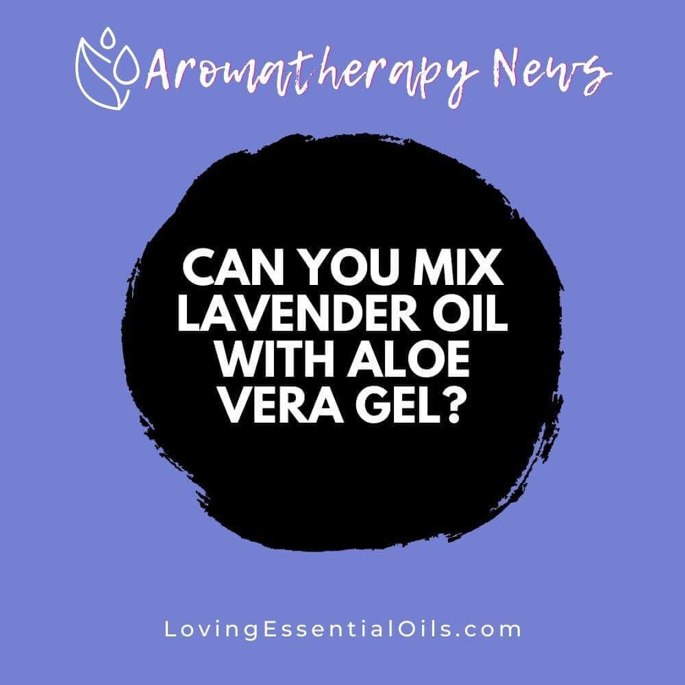 Can You Mix Lavender Oil with Aloe Vera Gel? How To + 3 Recipes