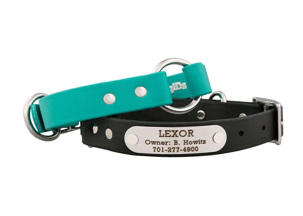 Why Should I Use A Safety Collar?