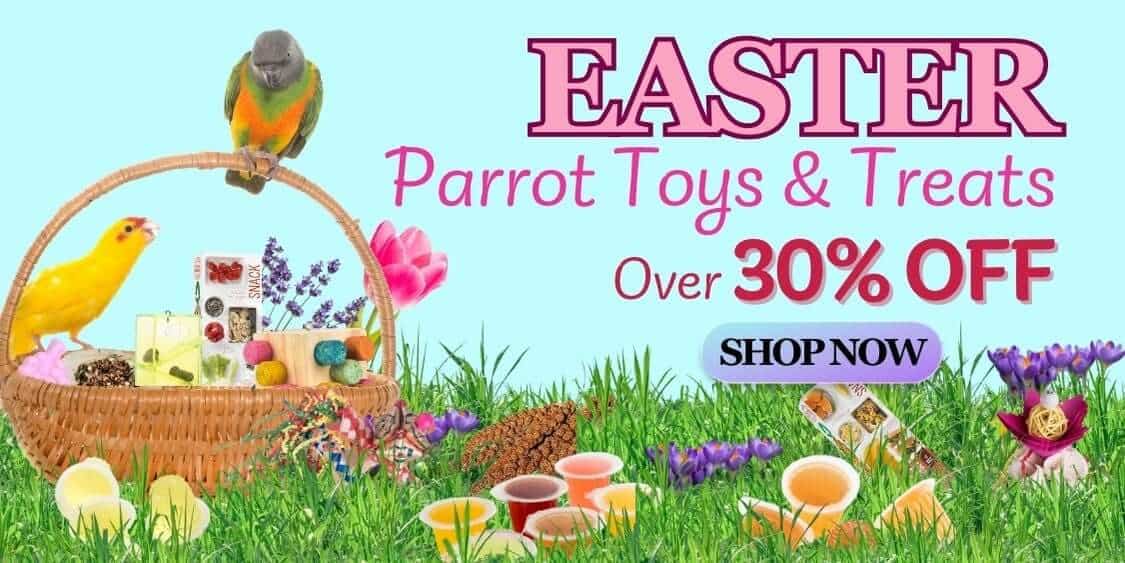 Over 30% OFF Easter Parrot Treats & Toys