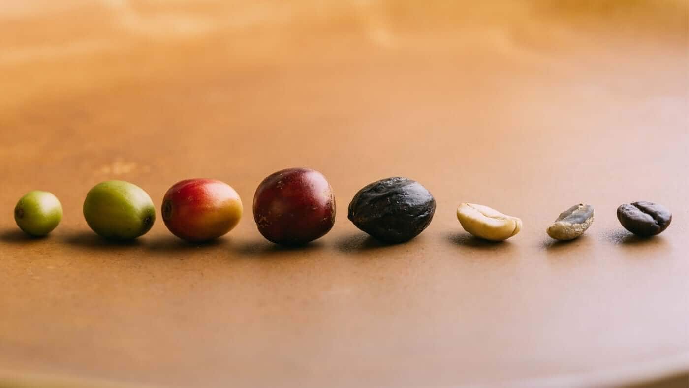 A Brief History of Coffee and Green Coffee Beans