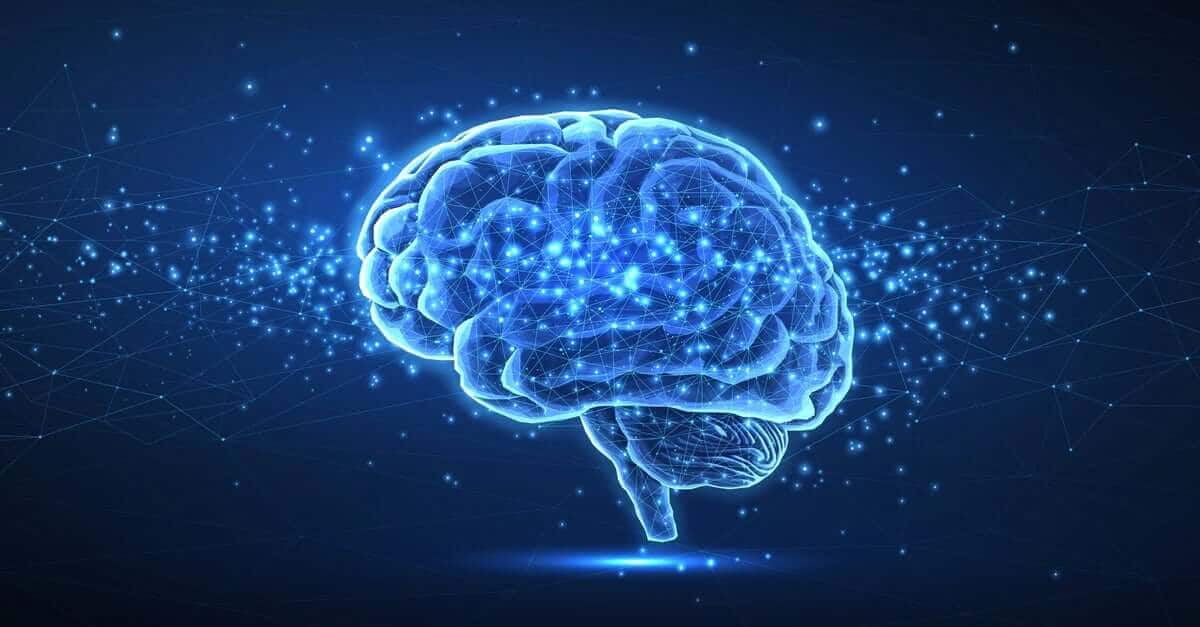 The Smart Way to Support Your Brain