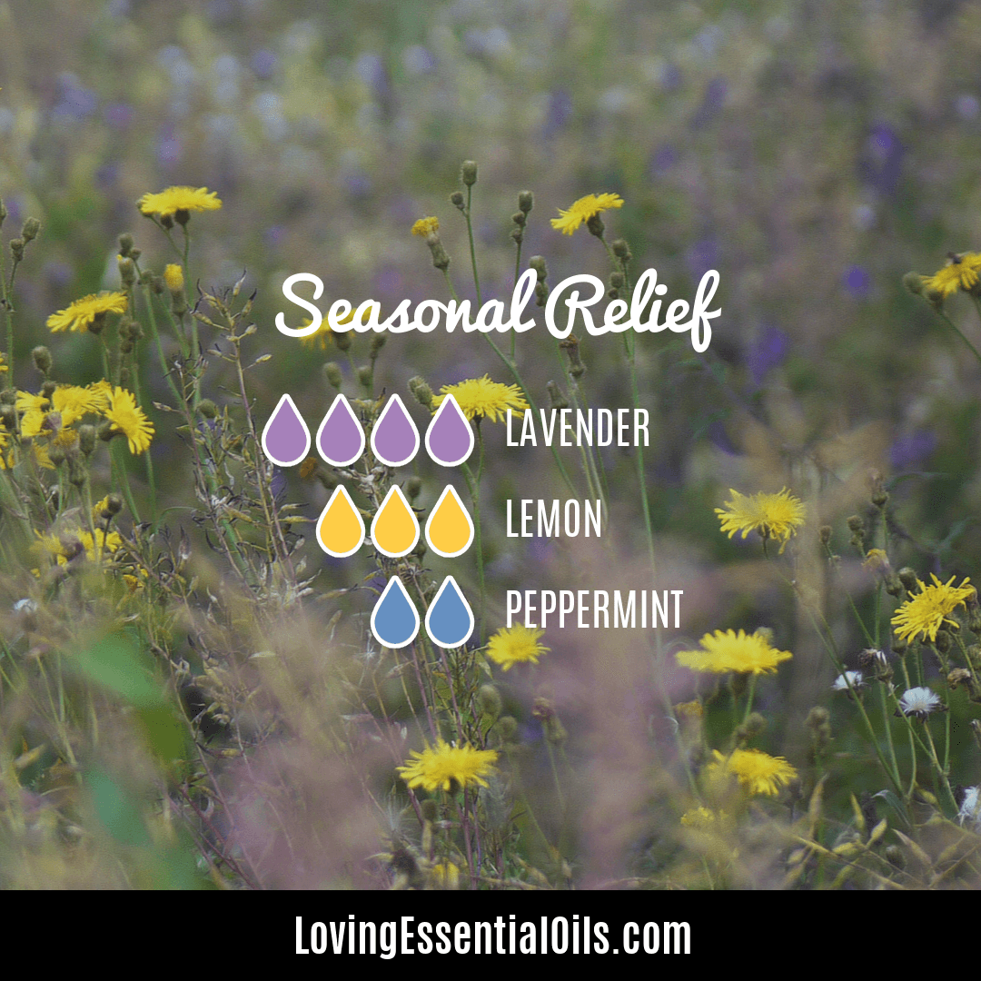 Spring Air lavender and lemon diffuser blend with peppermint