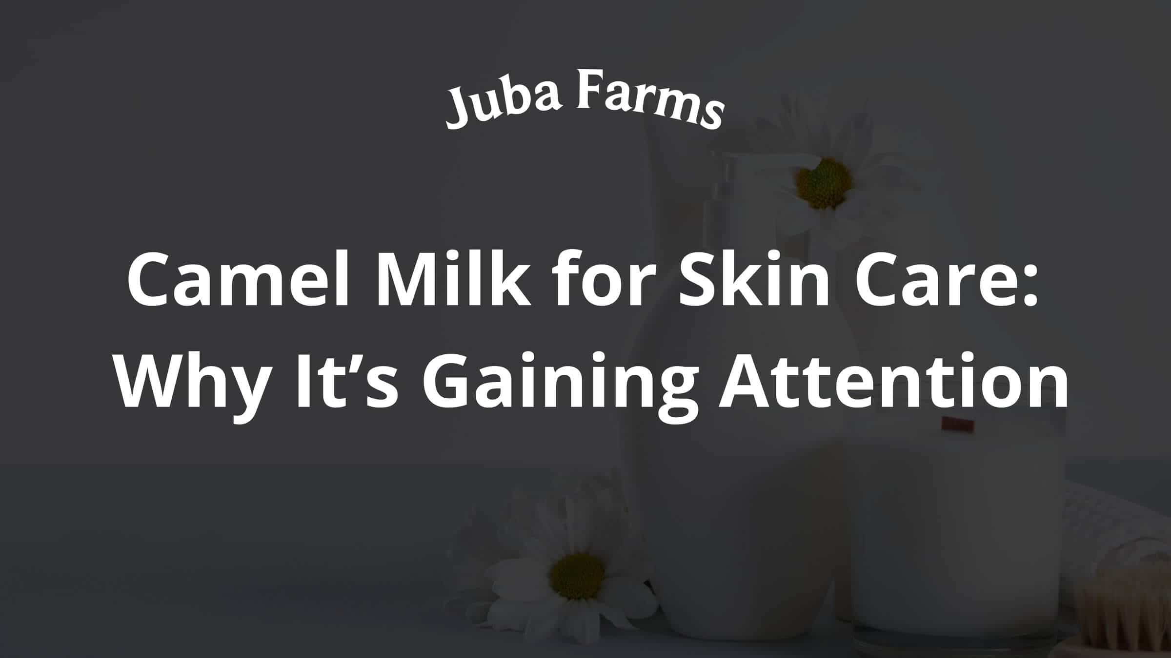 Camel Milk for Skin Care: Why It’s Gaining Attention