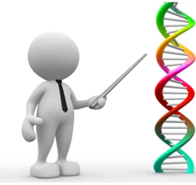 Epigenetics Can Save Lives