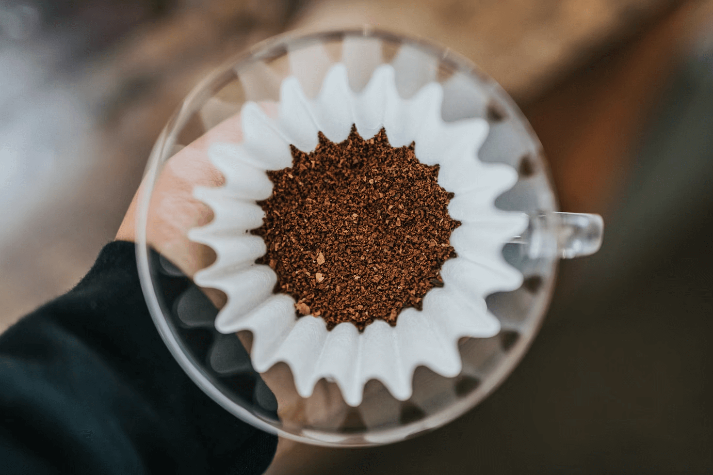 coffee grounds on the filter