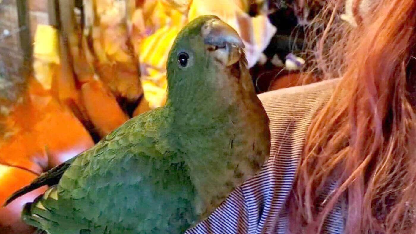 Bobby sitting on Catherine's Shoulder