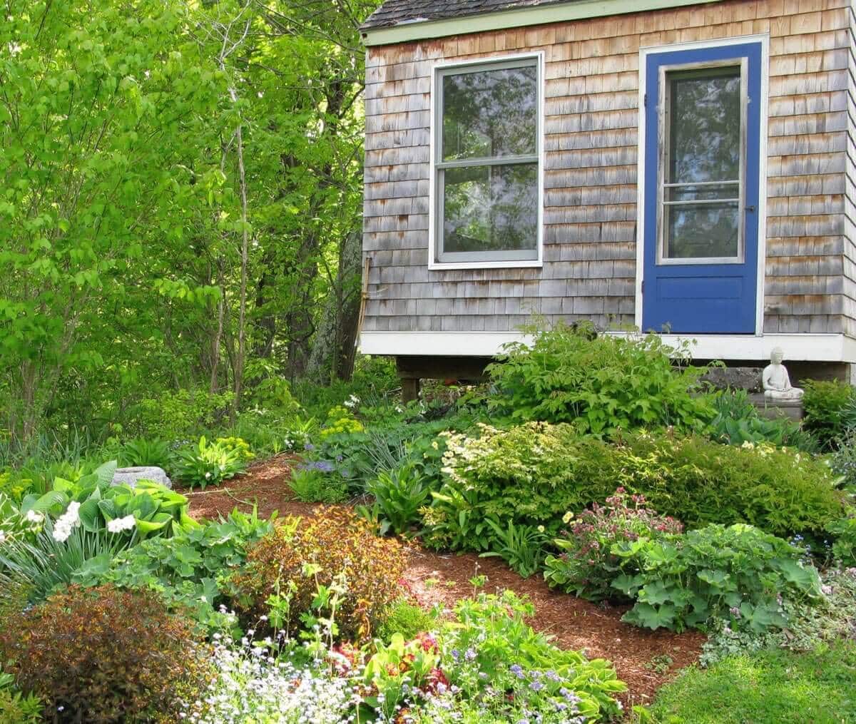 How to Use Blue Flower in Your Garden - Longfield Gardens